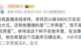 卓伟视频爆料二字男星,揭秘神秘“二字男星”身份之谜